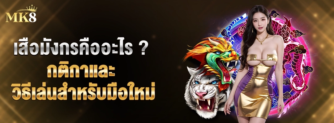 เสือมังกรคืออะไร-กติกาเสือมังกรเบื้องต้น-mk8-2025